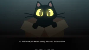 Do NOT Take This Cat Home 3