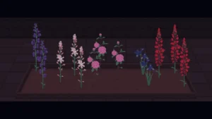 Eternal Home Floristry 2