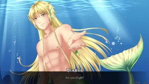 The Pirate Mermaid 1