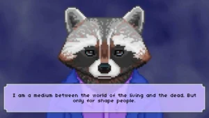 The Raccoon Who Lost Their Shape 3
