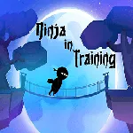 Ninja in Training 1